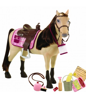 Our Generation Paard Morgan Our Generation Paard Morgan