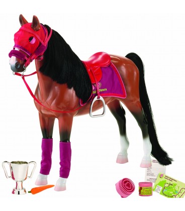 Our Generation Paard Thouroughbred (volbloed) Our Generation Paard Thouroughbred (volbloed)