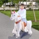 Ponycycle Unicorn U304 voor kinderen van 4 tot 9 jaar