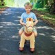 Ponycycle model E Licht bruin | Leeftijd 3-5 jaar